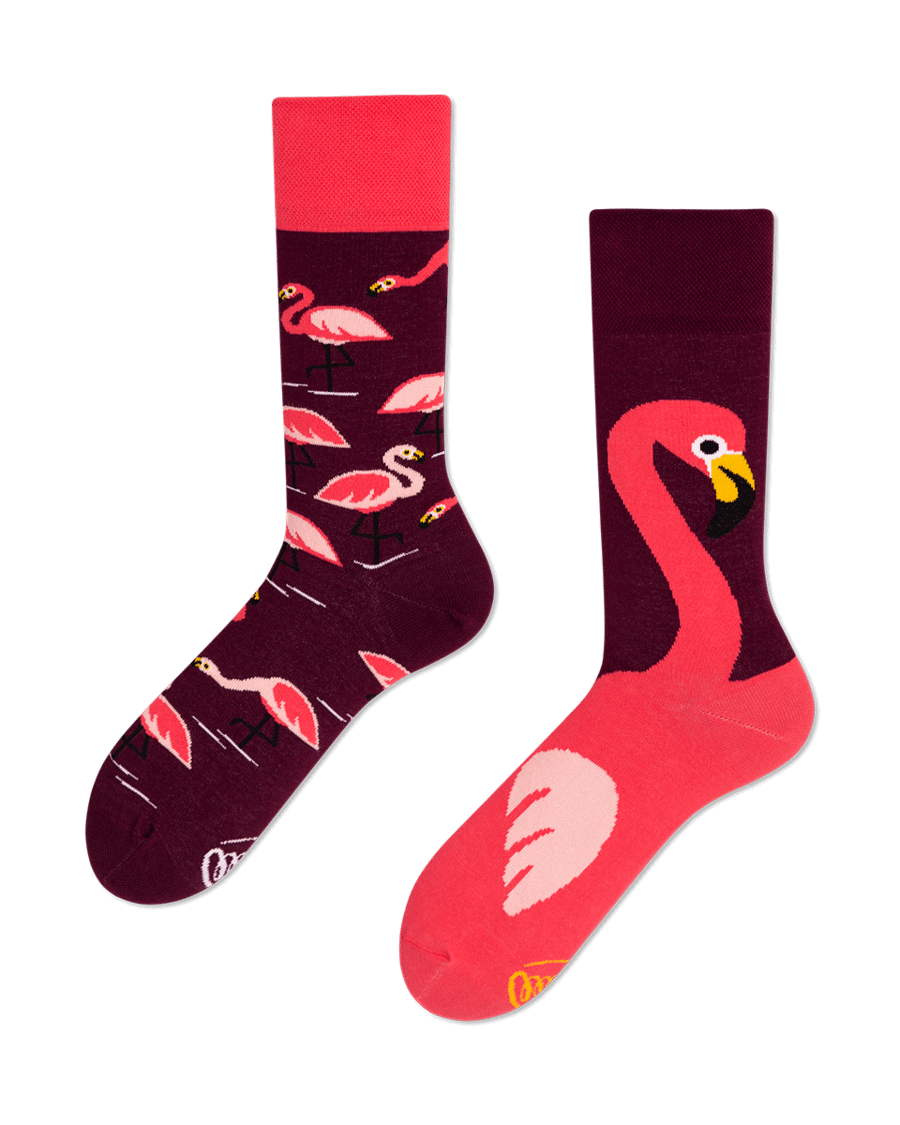 Archeologie Schijnen terugbetaling Flamingo sokken - Pink Flamingo - Many Mornings | Soque